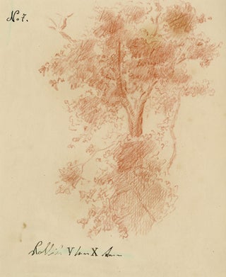 101 Study of an oak tree and its reflection. 18th century French School