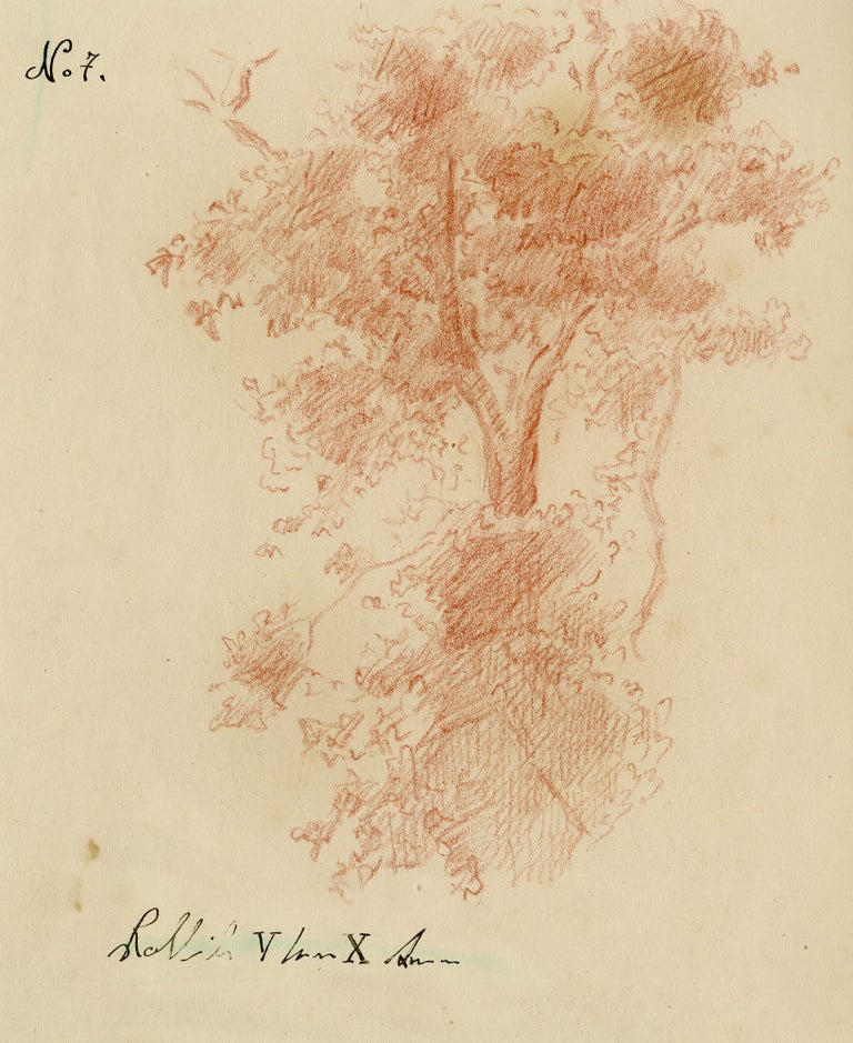 101 Study of an oak tree and its reflection. 18th century French School.
