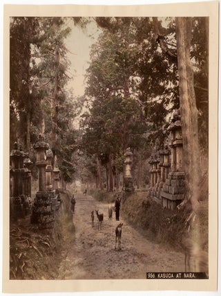 Japan – Kasuga at Nara