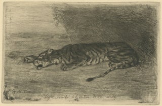 130 Tigre Couché à l'Entrée de son Antre. Eugène Delacroix