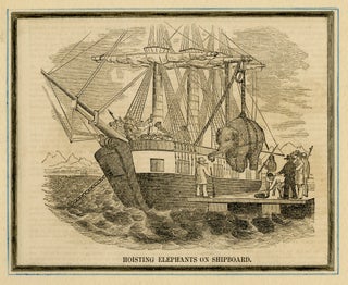 1325 Hoisting Elephant on Shipboard. 19th century American School