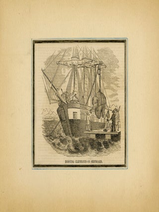 Hoisting Elephant on Shipboard