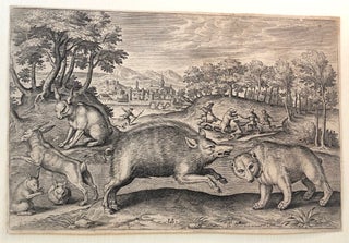 133 A Wild Boar, and a Bear, from Animalium Quadrupedum. Adriaen Collaert