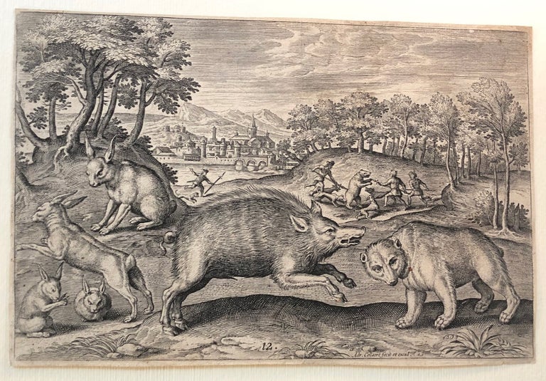 133 A Wild Boar, and a Bear, from Animalium Quadrupedum. Adriaen Collaert.