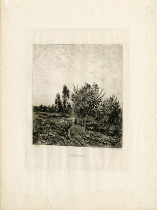 Pommiers à Auvers