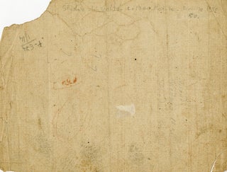 Studio di volto (Study of a boy's face, front and side view)