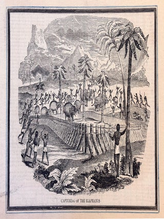 1380 Capturing Elephants, from Gleason's Pictorial Drawing Room Companion. 19th century American...