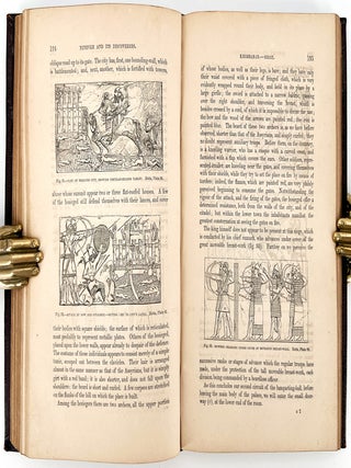 Nineveh and Its Palaces; The Discoveries of Botta and Layard, Applied to the Elucidation of Holy Writ