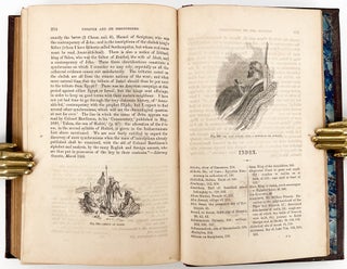 Nineveh and Its Palaces; The Discoveries of Botta and Layard, Applied to the Elucidation of Holy Writ