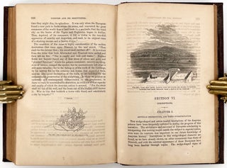 Nineveh and Its Palaces; The Discoveries of Botta and Layard, Applied to the Elucidation of Holy Writ