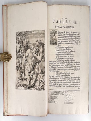 Aedium Farnesiarum Tabulae