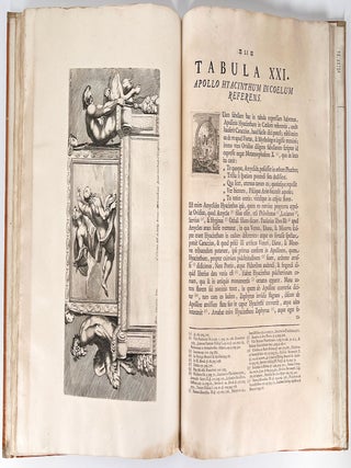 Aedium Farnesiarum Tabulae