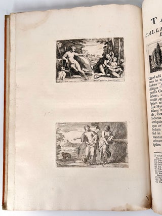Aedium Farnesiarum Tabulae