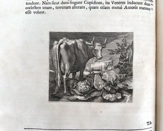Aedium Farnesiarum Tabulae