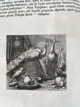 Aedium Farnesiarum Tabulae