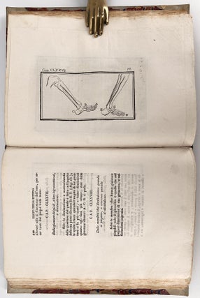 Trattato della Pittura di Lionardo da Vinci (Treatise on Painting by Leonardo da Vinci)