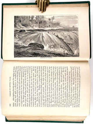 The Achievements of Stanley and Other African Explorers