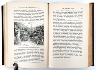 Darkness and Daylight, or Lights and Shadows of New York Life; A pictorial Record of Personal Experiences by Day and Night in the Great Metropolis