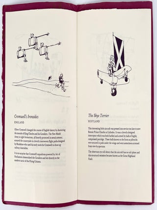 Flights of Fancy; A Concise History of Air Travel