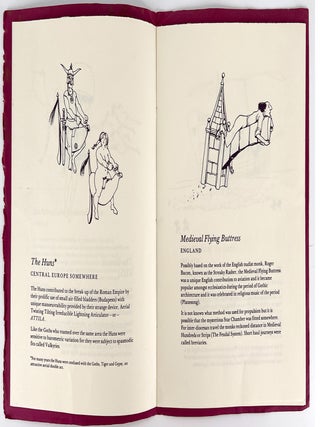 Flights of Fancy; A Concise History of Air Travel
