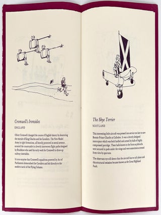 Flights of Fancy; A Concise History of Air Travel