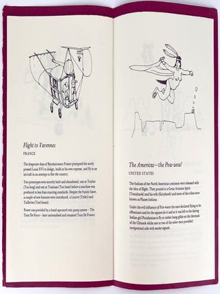Flights of Fancy; A Concise History of Air Travel