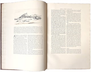 Old Spain; Drawings by Muirhead Bone, Descriptions by Gertrude Bone