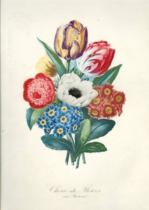 Group of seven (7) prints from Engravings of Plants