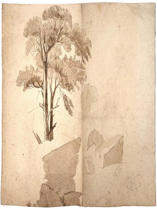 2149 Italian Stone Pine along a rocky outcropping. 19th century English School
