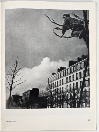 Camera in Paris