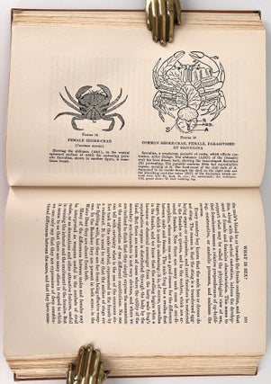Riddles of Science