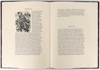 A Lakeland Diary; with wood-engravings by Kathleen Lindsey and Edward Stamp