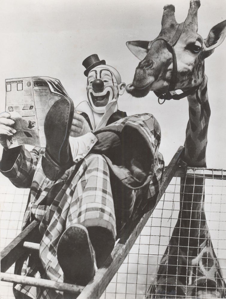 243 Lou Jacobs Ringling Bros. and Barnum & Bailey Circus Clown with Giraffe. Photographer Unknown.