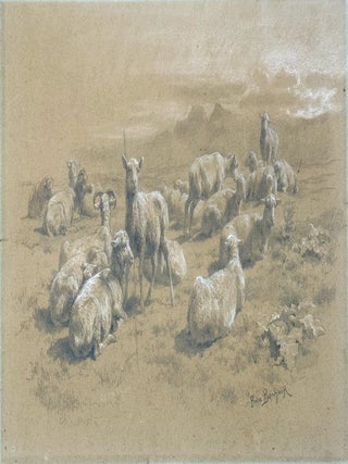 2458 Highlands Sheep; A finished study from the Highlands Series. Rosa Bonheur