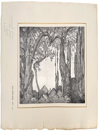 Set Design for Daphnis et Chlo&eacute; (Act I)