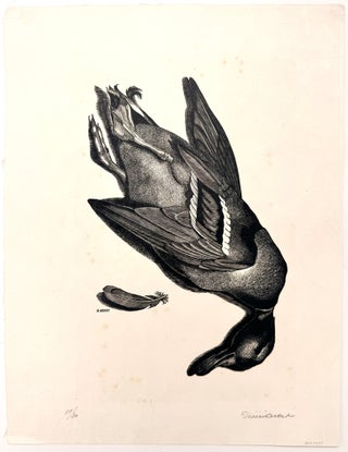 2836 Canard. Denis Acket