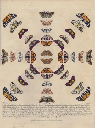 Bowles's New Collection of English Moths and Butterflies; In Twelve Prints, All Drawn from Life Representing near 300 different Species of those Beautiful Insects. Elegantly and accurately Engraved and disposed in an Ornamental Order To each Print is added:-A Description of their Names, Food, and times of Change, By Benjamin Wilkes.