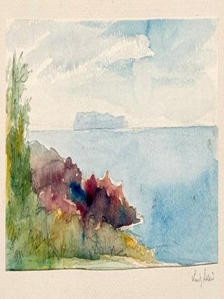 2936 Lundy Island. Ellen Brooker Beale