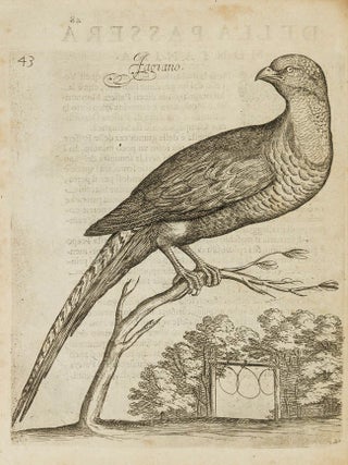 306 Uccelliera; Overo discorso della natura e proprietà di diversi uccelli e in particolare di...