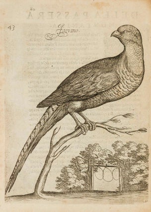 Uccelliera; Overo discorso della natura e proprietà di diversi uccelli e in particolare di. Giovanni Pietro Olina.