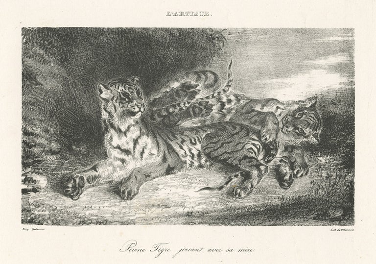 347 Jeune Tigre jouant avec sa mère. Eugène Delacroix.