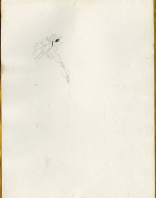Painted Binding. 19th Century Album containing drawings, memorabilia, and botanical samples