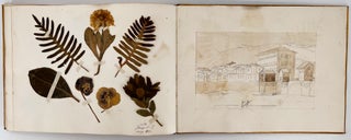 Painted Binding. 19th Century Album containing drawings, memorabilia, and botanical samples