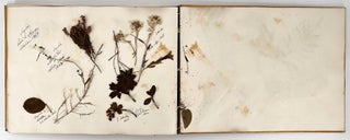 Painted Binding. 19th Century Album containing drawings, memorabilia, and botanical samples
