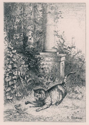 406 A Domestic Cat Playing with a Garter Snake, from Eaux-Fortes Animaux & Paysages; Chat jouant...