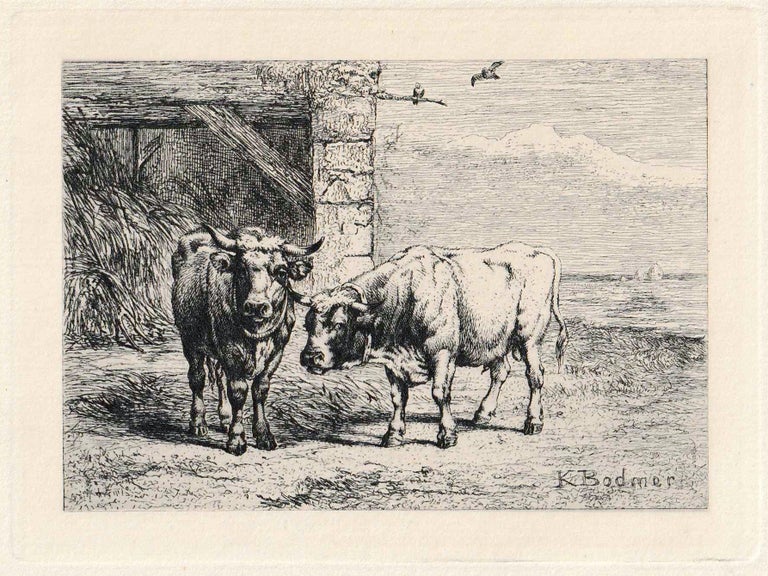410 Bulls, from Eaux-Fortes Animaux & Paysages; Taureaux. Karl Bodmer.