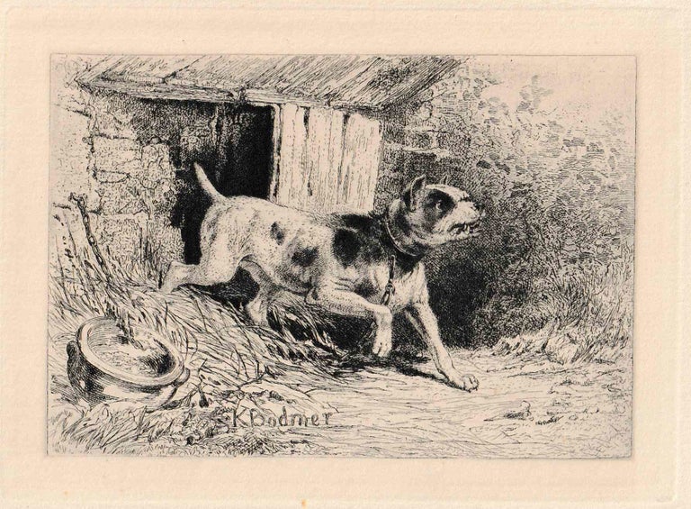 411 Watchdog, from Eaux-Fortes Animaux & Paysages. Karl Bodmer.