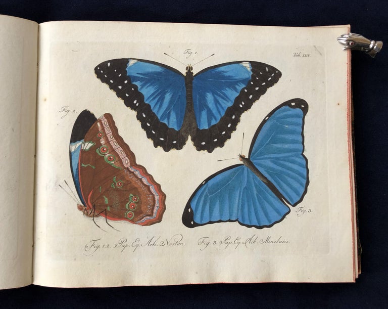 427 Natursystem aller bekannten in- und ausländischen Insekten: Schmetterlinge; Nach dem System des Ritters Carl von Linné bearbeitet. Carl Gustav Jablonsky, J F. W. Herbst.