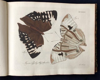 Natursystem aller bekannten in- und ausländischen Insekten: Schmetterlinge; Nach dem System des Ritters Carl von Linné bearbeitet.