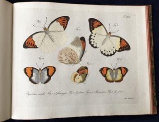 Natursystem aller bekannten in- und ausländischen Insekten: Schmetterlinge; Nach dem System des Ritters Carl von Linné bearbeitet.